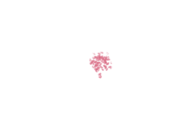 Goal Booster Key